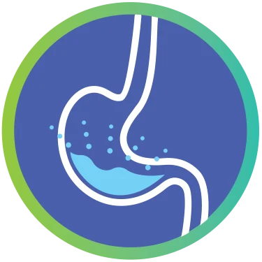 How Fluoride Works - Absorbed Icon of digestion